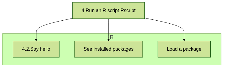 flowchart TD

  subgraph R
    say_hello[4.2.Say hello]
    see_installed_packages[See installed packages]
    load_package[Load a package]
  end
  run_r_script[4.Run an R script Rscript]

  run_r_script --> say_hello
  run_r_script --> see_installed_packages
  run_r_script --> load_package