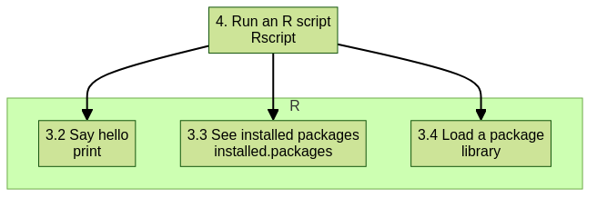 flowchart TD

  subgraph R
    say_hello[3.2 Say hello\nprint]
    see_installed_packages[3.3 See installed packages\ninstalled.packages]
    load_package[3.4 Load a package\nlibrary]
  end
  run_r_script[4. Run an R script\nRscript]

  run_r_script --> say_hello
  run_r_script --> see_installed_packages
  run_r_script --> load_package