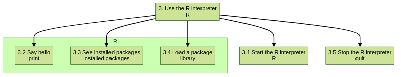 flowchart TD

  use_r_interpreter[3. Use the R interpreter\nR]
  start_r_interpreter[3.1 Start the R interpreter\nR]
  subgraph R
    say_hello[3.2 Say hello\nprint]
    see_installed_packages[3.3 See installed packages\ninstalled.packages]
    load_package[3.4 Load a package\nlibrary]
  end
  stop_r_interpreter[3.5 Stop the R interpreter\nquit]

  use_r_interpreter --> start_r_interpreter
  use_r_interpreter --> say_hello
  use_r_interpreter --> see_installed_packages
  use_r_interpreter --> load_package
  use_r_interpreter --> stop_r_interpreter