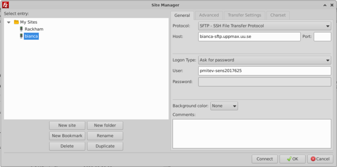 FileZilla settings for a user