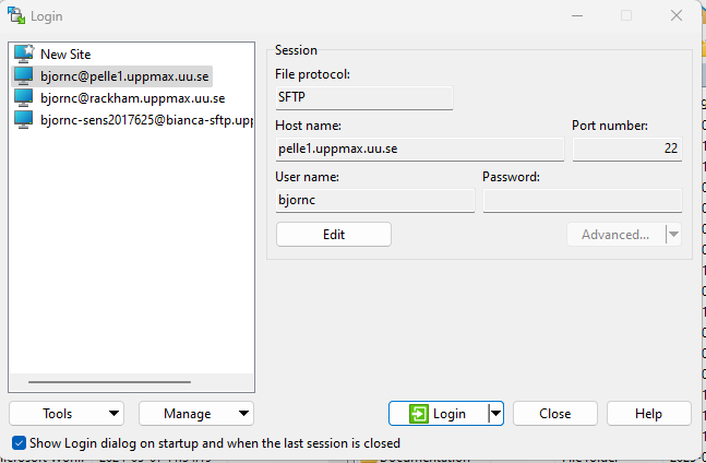 WinSCP Pelle