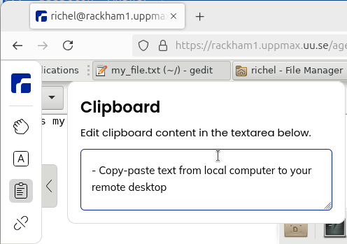 Copy the text to the ThinLinc clipboard