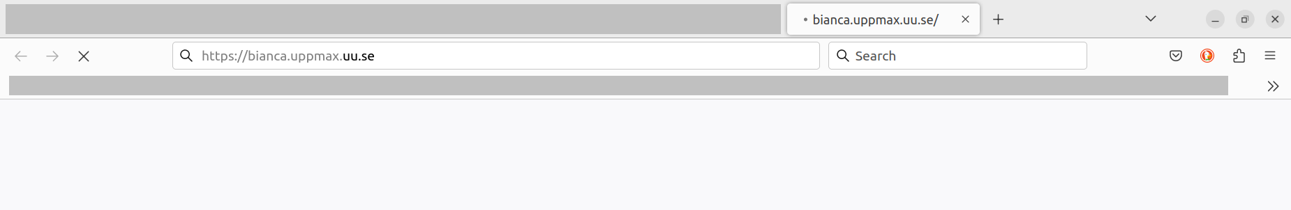 The Bianca website does nothing