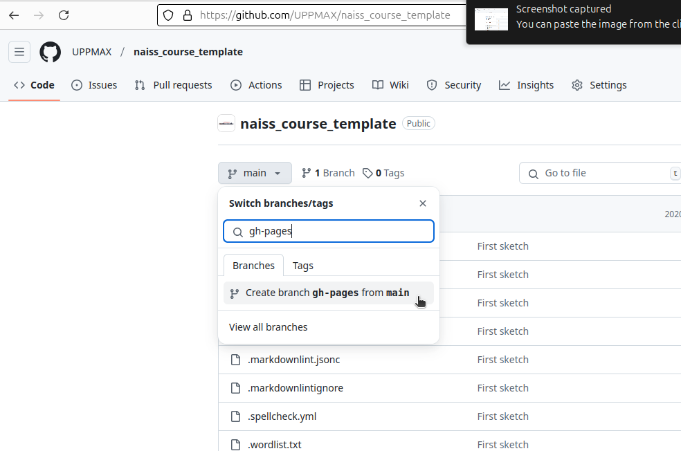 Click on 'Create branch gh-pages from main
