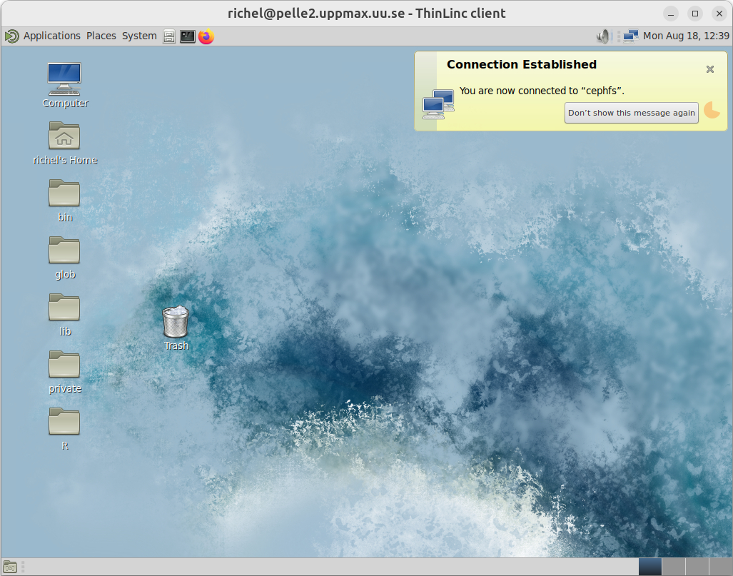 A remote desktop environment, accessed via a local ThinLinc client