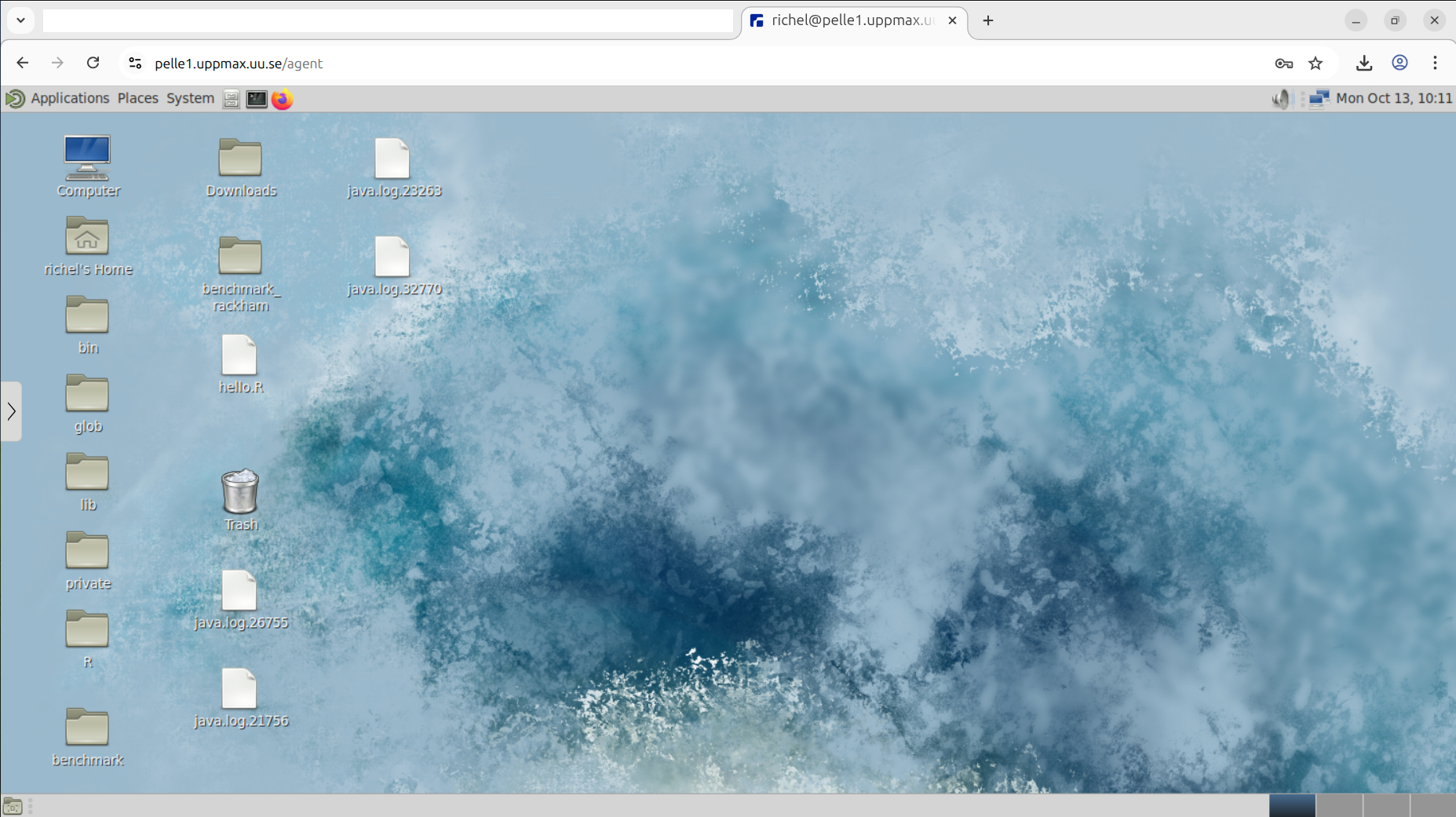 A remote desktop environment, accessed via a web browser