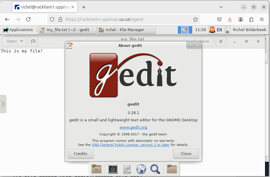 The gedit about screen