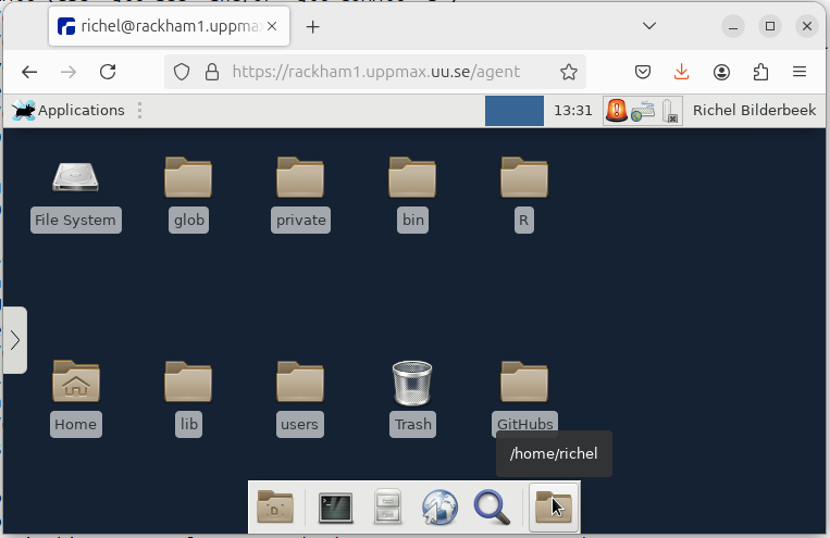 The Rackham remote desktop environment