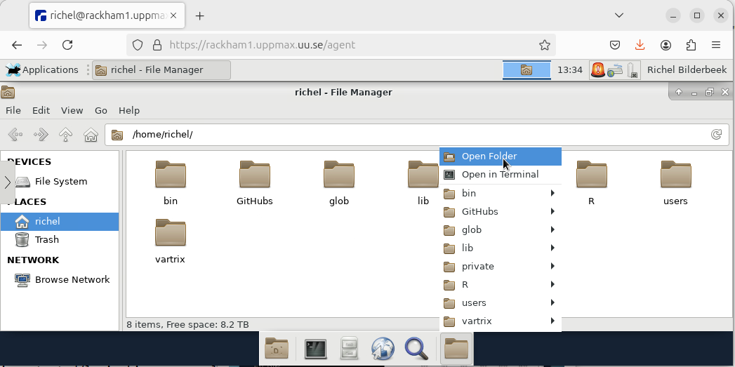 The Rackham remote desktop environment with the file explorer open