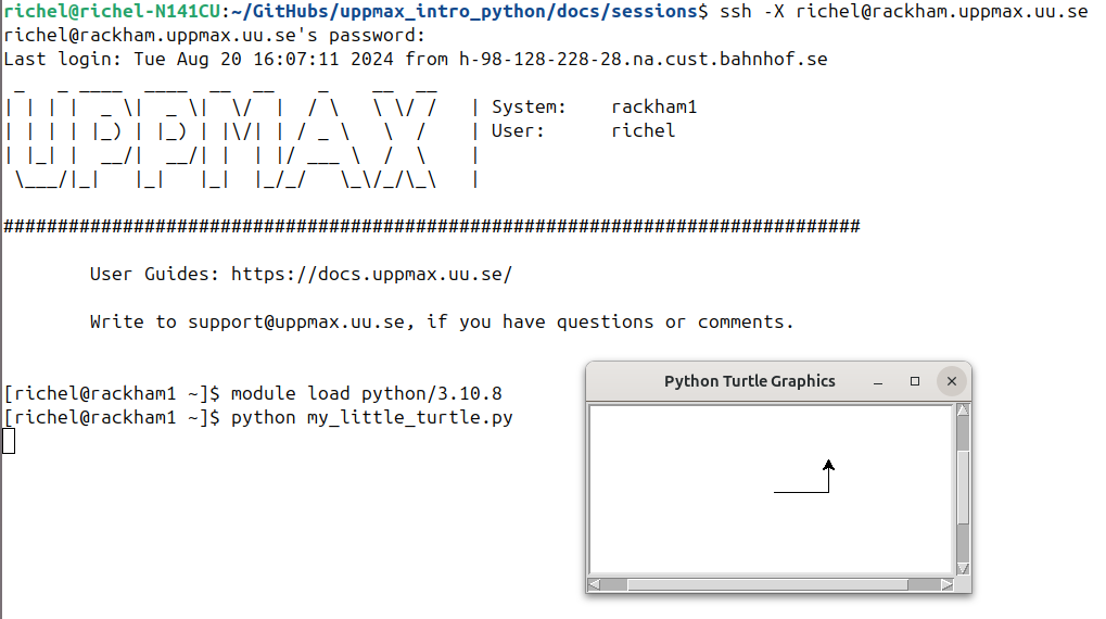 Running the program successfully